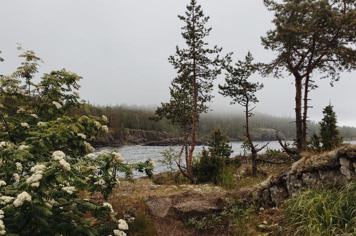 Валаам весной фото