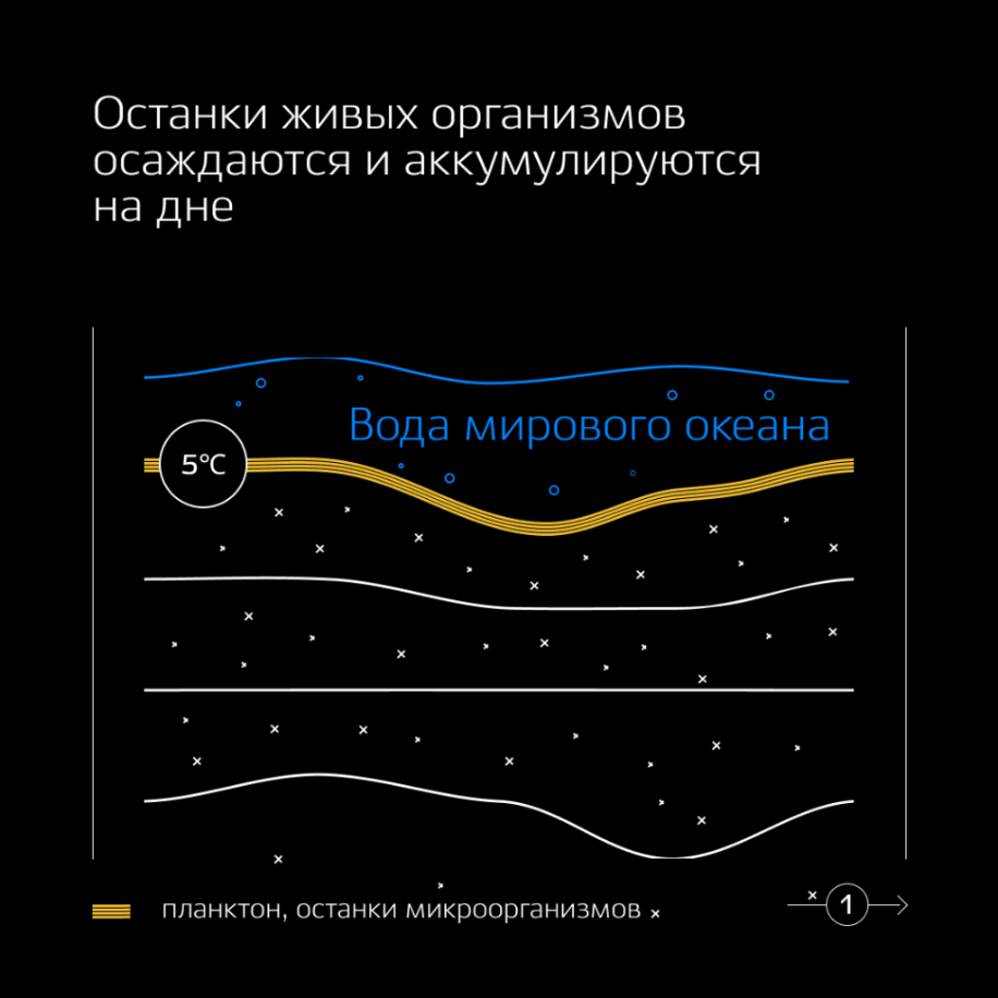 Гипотеза органического происхождения нефти