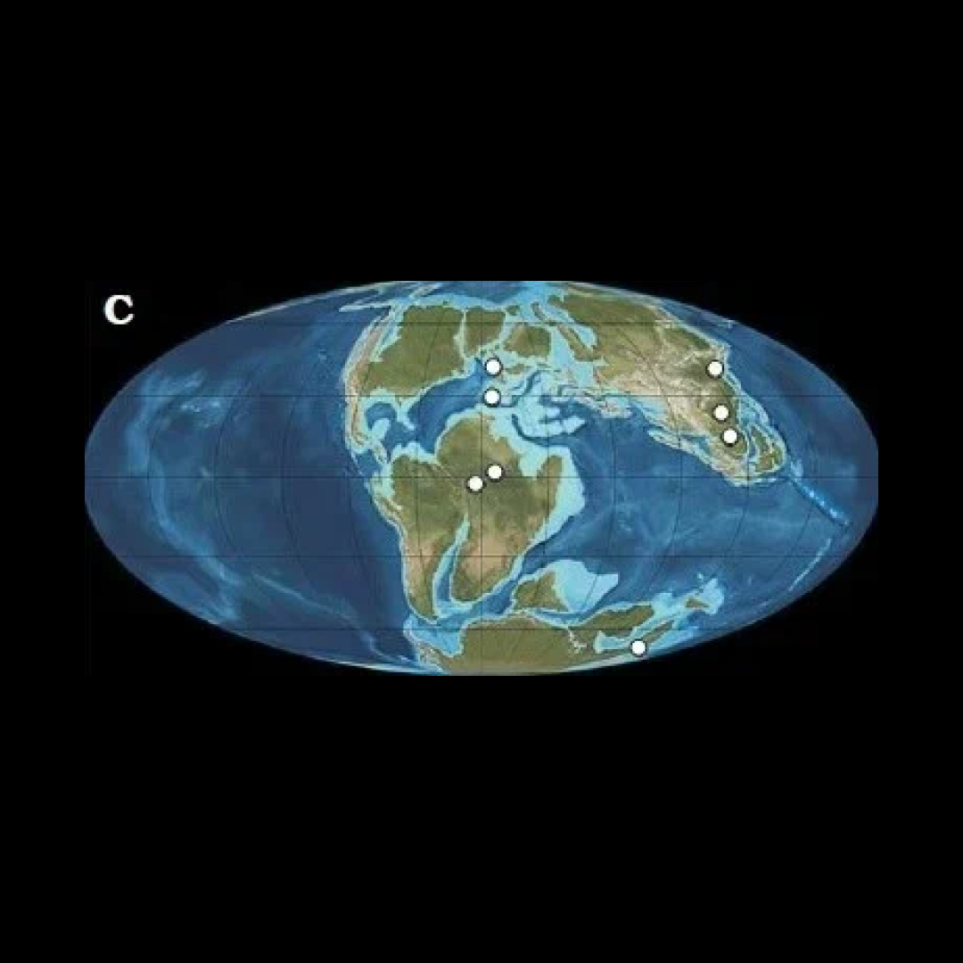 Continent 100. Земля 100 млн лет назад карта. Земля 66 миллионов лет назад. Карта земли 100 миллионов лет. Континенты миллион лет назад.